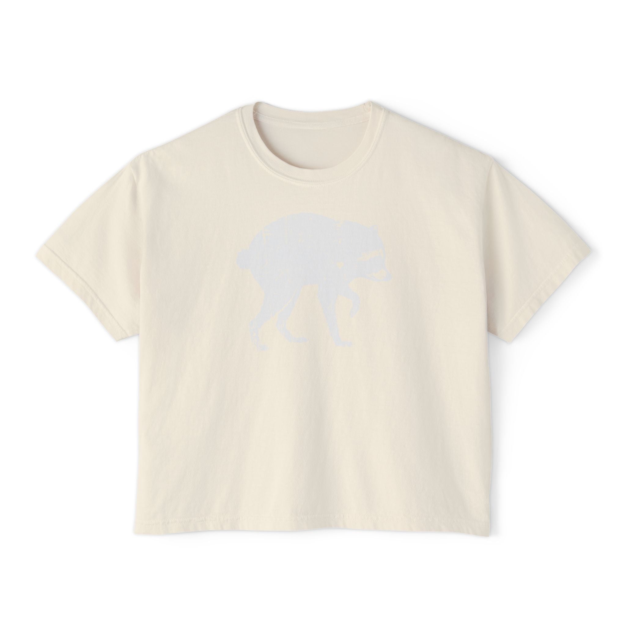 Jimothy Boxy Crop Tee