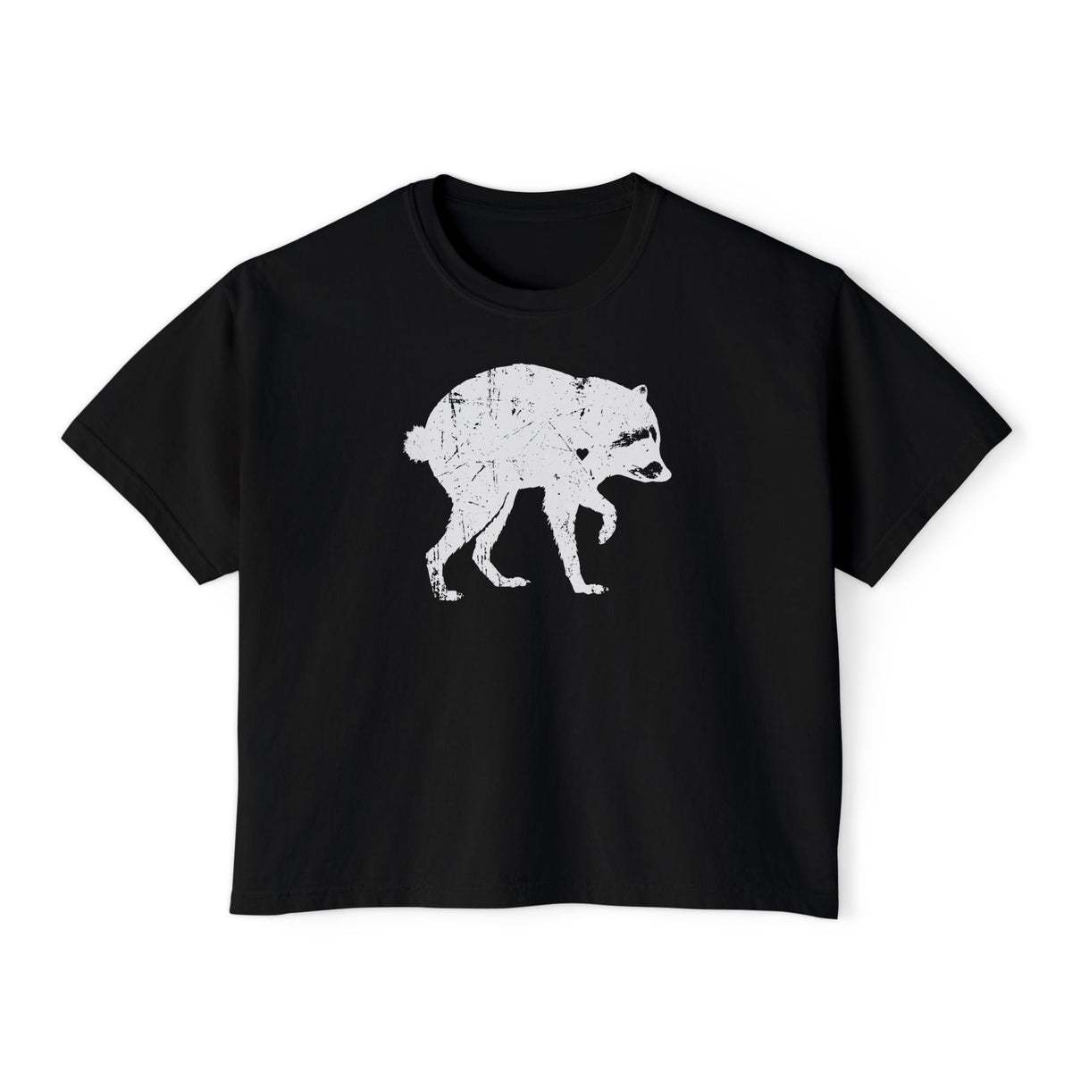 Jimothy Boxy Crop Tee