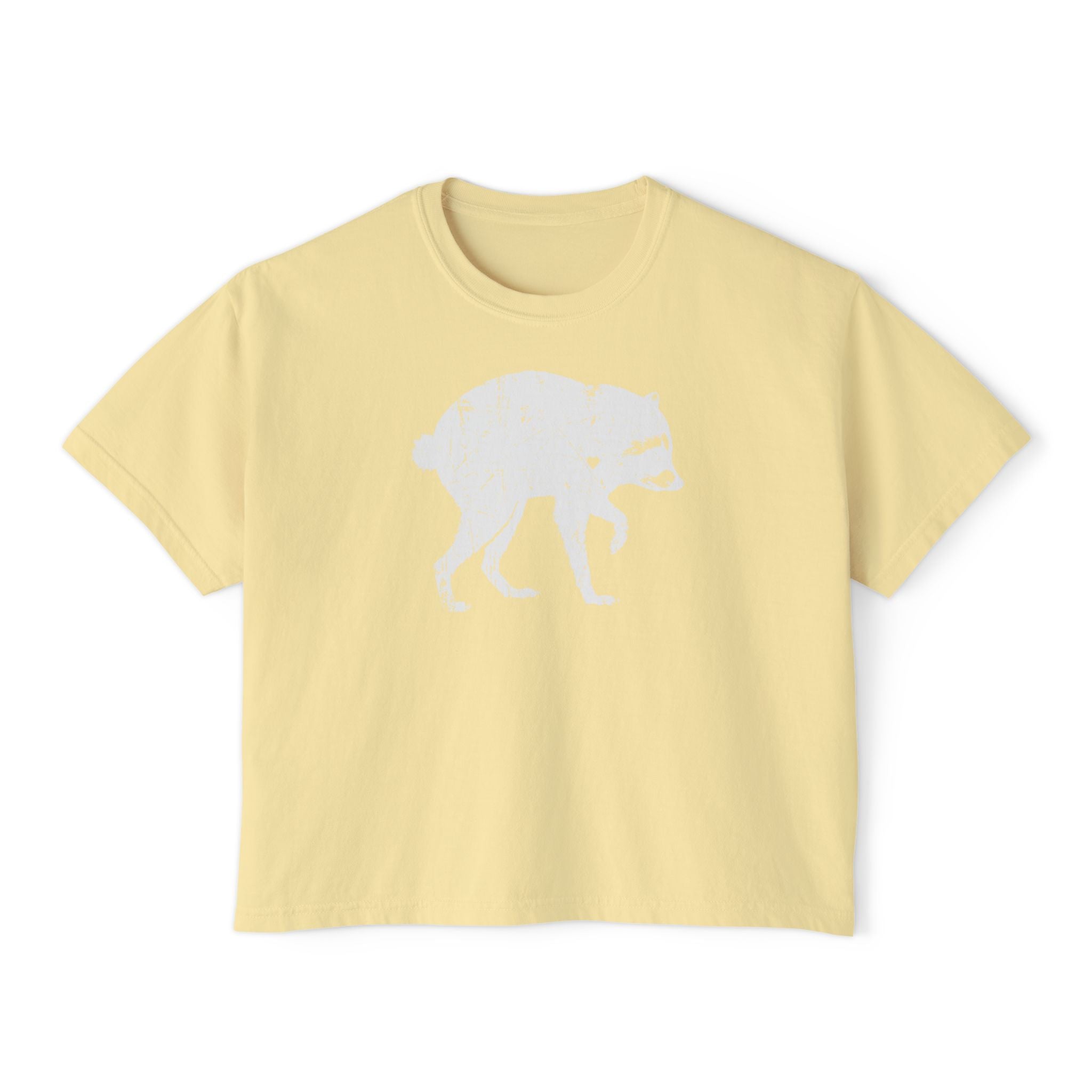 Jimothy Boxy Crop Tee
