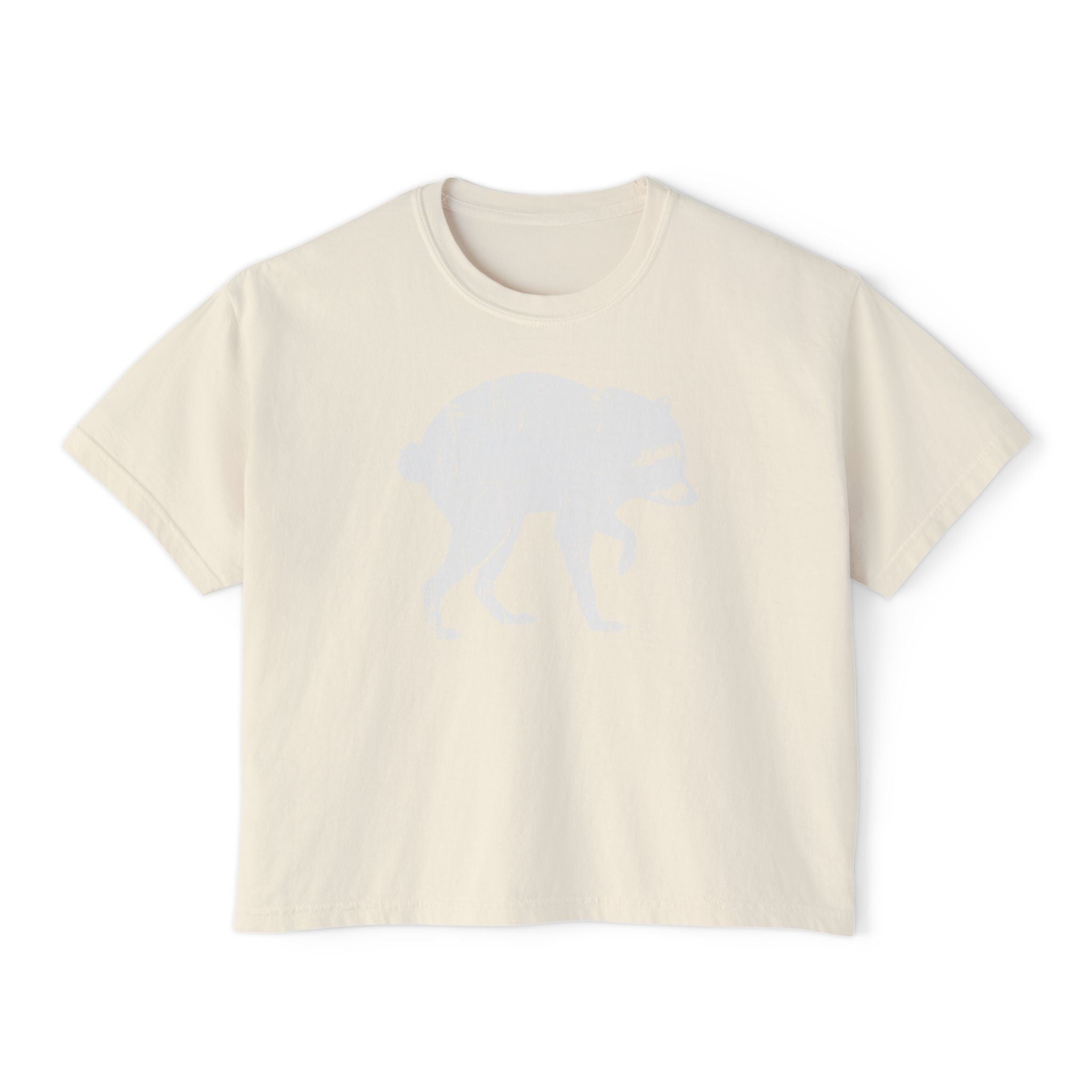 Jimothy Boxy Crop Tee